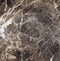 Natural Emperador Dark marble texture