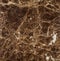 Natural Emperador Dark marble texture