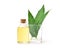 Natural Eucalyptus Essential Oil with green leaves