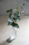 Natural eucalyptus plant twigs in glass vase bottle. Home interior flowers, minimalist stillife concept