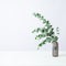 Natural eucalyptus plant twigs in vintage grey glass vase bottle