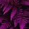 Natural fern leaves close up. Ornament leaf purple toned photo.