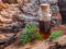 Natural fir oil in a mini bottle. A massage oil.