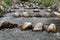 Natural fish ladder steps dam crossing passage stones