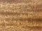 Natural flame koa patterned Solid wood That has beautiful and clear wood grain Used to decorate with copy space. Background,