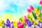Natural floral background. Spring flowers daffodils, tulips, crocuses, snowdrops