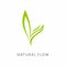 Natural Flow simple modern logo design