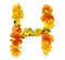natural flower arrangements with yellow orange real fresh flowers letter h