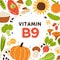 Natural food card with B9 vitamin rich nutrition. Organic healthy nutrients enriched with folate. Colorful flat vector