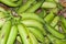 Natural food - Colombian green banana-musaceae family