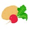 Natural food icon isometric vector. Organic freshly harvested potato near radish