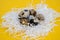 Natural food. Raw quail eggs in a nest made of white paper on a yellow background. Low-calorie protein food