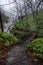 Natural footbath at the Oyunuma River