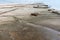 Natural fossil shell beach or Seashell Graveyard