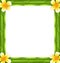 Natural Frame Made Bamboo and Frangipani Flowers, Copy Space for Your Text