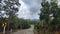 On a natural fresh road surround by green trees