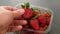 Natural fresh strawberries in the season,Close up of fresh strawberries in plastic box