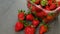 Natural fresh strawberry fruits without hormones and drugs