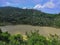 Natural fresh water lake in rewalsar, district mandi, himachal pradesh, India. rainy season