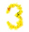 natural fresh yellow bright shiny flowers green leaf number 3