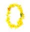 natural fresh yellow bright shiny flowers green leaf number zero 0