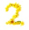 natural fresh yellow flowers green leaf bright shiny number 2