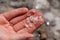 Natural frozen sea salt in the girl`s hand. Backgrounds and texture on the seashore in stone deposits flooded with water and the