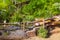 Natural garden with native plants, natural stones, driftwood, sand and hedge