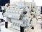 Natural gas engine for power generation