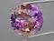 Natural gemstone colored ametrine in thongs on a gray background. Natural Bolivian bicolor yellow purple ametrine