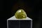 Natural gemstone sphene on black background