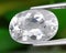 Natural gemstone transparent goshenite beryl on green background