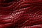 natural genuine crocodile leather skin texture with seamless pattern on red background