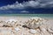 Natural giant shell on the tropical beach