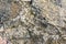 Natural granite rough stone. The old surface close up. Background.