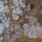 Natural granite stone texture background. Rough and rusty. Close-up