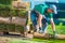 Natural Grass Turf Installer