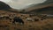 Natural Grasslands With Free-roaming Cows And Sheep