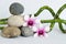 Natural gray pebbles arranged in zen lifestyle with two bicoloured orchids on the right side of bamboo twisted on white background