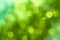 Natural green blurred background