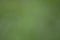 Natural Green Blurred Background for web, print