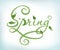 Natural green calligraphic word spring