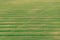 Natural Green Field Background With Trails Lines. View Top View Of Field With Growing Young Green Wheat. Meadow Grass