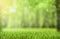 Natural green forest background