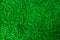Natural Green grass texture. Perfect Golf or football field background
