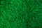 Natural Green grass texture with water droplets. Perfect Golf or football field background.