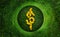 Natural Green Money Dollar Symbol