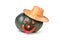 Natural green pumpkin, rustic straw hat, funny funny face of hot pepper, on a white background