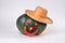 Natural green pumpkin, rustic straw hat, funny funny face made of hot pepper,  on a light background