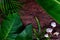 Natural green tropical jungle flat lay background of banana, palm, colocasia, fern, mushroom leaves in dark wooden backdrop.